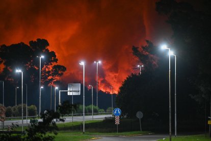 Columnas de humo se elevan desde las plantas afectadas en Ezeiza, mientras equipos de emergencia controlan la situación y aseguran la zona.
