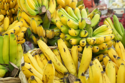 El banano es uno de los productos sin arancel desde Ecuador hacia EE. UU.