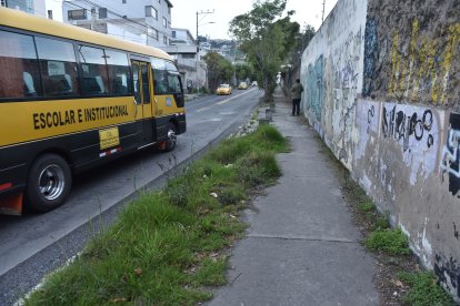 Así lucen los parterres en la calle Yanacona, en El Condado, noroccidente de Quito.