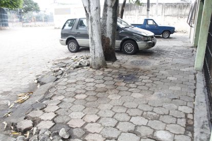 El hecho se produjo en un callejón ubicado junto al parque.