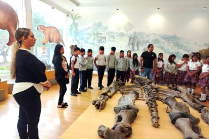 En el campus de la Universidad Estatal Península de Santa Elena exhiben restos de animales gigantes.
