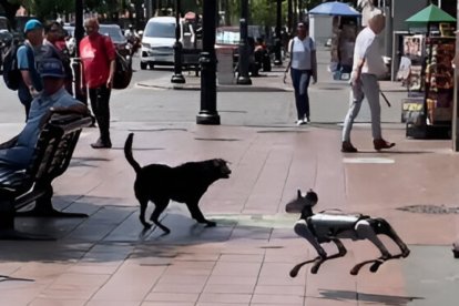 Curioso encuentro entre un perro un robot canino en Guayaquil.