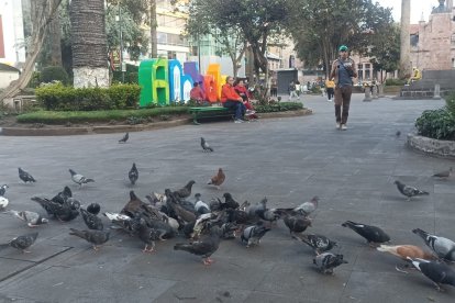 Vecinos de Ambato reaccionan al fuerte sismo del sábado.