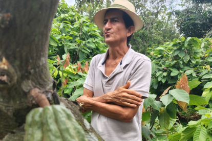 Servio, descendiente de los fundadores de Sarampión, cultiva cacao fino de aroma.