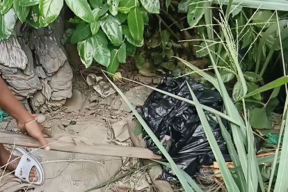 Un ciudadano manipula con un palo una funda negra entre maleza y desechos, en el sitio donde se reportó el hallazgo de un cuerpo desmembrado bajo el puente sobre el río Teaone, en Esmeraldas.