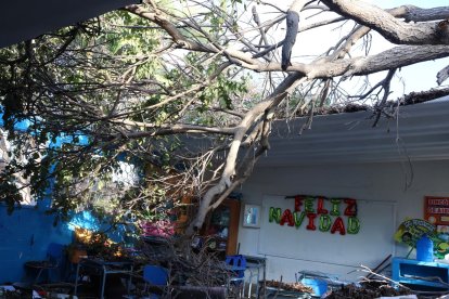 Así quedó el aula de la Unidad Educativa Manuela Cañizares  donde un árbol cayó y dejó heridos a los pequeños en Santa Rosa del cantón Salinas