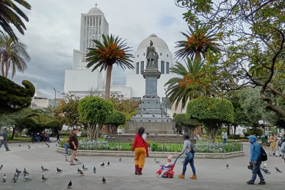 Las autoridades van a estar vigilantes y sancionar a las personas que alimentan las palomas en los parques en Ambato.