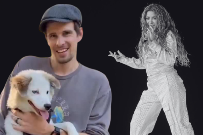 Quito se pudo reunir con su dueño en California.