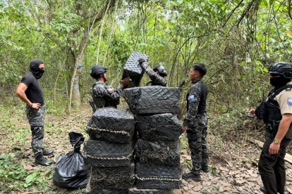La Policía localizó tres toneladas de droga en una finca ubicada en el sitio Pile de Montecristi,