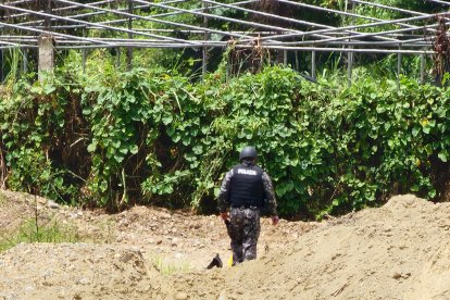 Un agente de la Policía Nacional patrulla una zona rural de Limones, Eloy Alfaro, durante un operativo de verificación tras hechos violentos registrados el 26 de diciembre.