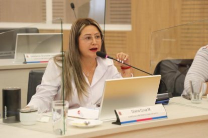 Diana Cruz preside la Comisión de Ambiente y también es parte de la de Propiedad y Espacio Público.