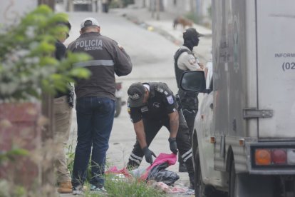 Este 5 de enero de 2026 se registró un macabro hallazgo en el bloque 4 de Flor de Bastión, en el noroeste de Guayaquil.