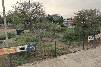 Enrejado y con monte hasta las rodillas permanece el Bosque Urbano Nativo de Sauces 6 .