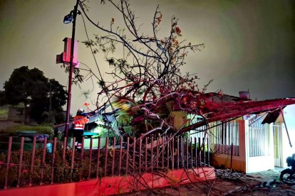 El árbol y poste caído tras una jornada lluviosa en la Alborada cuarta etapa.