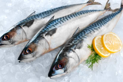 El pescado estaría siendo infectado.