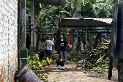 El descubrimiento causó alarma entre los trabajadores y moradores.
