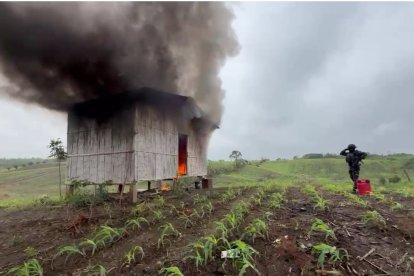 Una de las estructuras destruidas por los agentes durante la intervención.