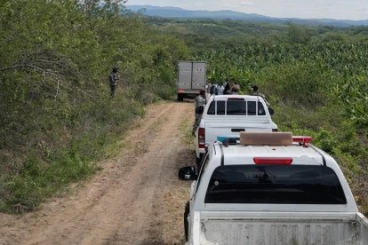 Un hombre fue hallado en una zona solitaria y rodeada de vegetación, en el sitio La Sequita, del cantón Jaramijó