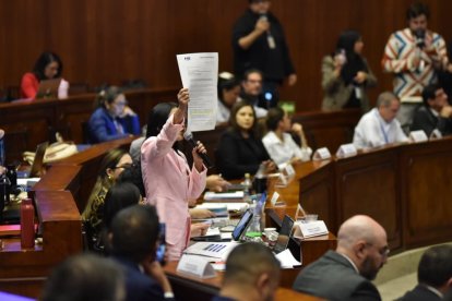 La legisladora Viviana Veloz en el juicio político a Mario Godoy.