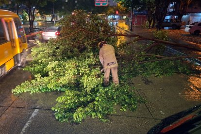 En algunos sectores de Guayaquil se registraron incidentes tras la lluvia.