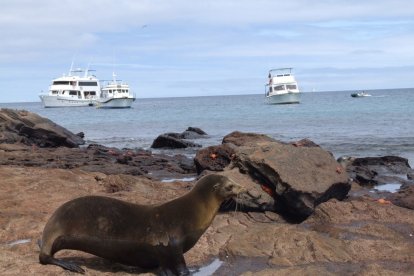 Dos localidades de la provincia de Galápagos celebran sus aniversarios de cantonización