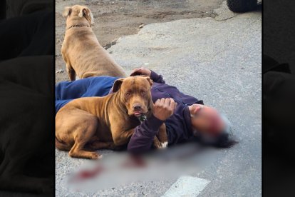 El accidente ocurrió en un tramo de la Panamericana E35, a la altura de la gasolinera de Cayambe, en el norte de Quito.