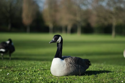 La policía difundió el video en redes el momento del robo