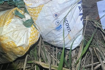 Las ocho cabezas estaban en estos dos costales de yute, en Naranjal, Guayas.