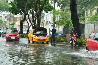 La tormenta eléctrica registrada este miércoles 18 de febrero en Guayaquil provocó el colapso del sistema de drenaje en sectores como Sauces, generando severas acumulaciones de agua y dificultades en la movilidad.
