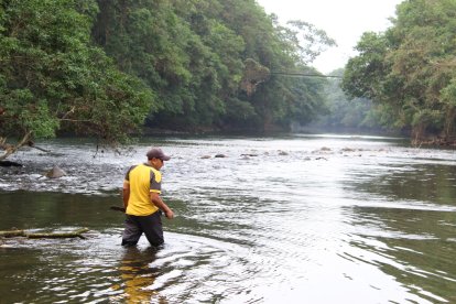 Un comunero recorre las aguas del río Canandé, machete en mano, mientras vecinos y rescatistas continúan la búsqueda de Don Peña, desaparecido tras el naufragio de su canoa.