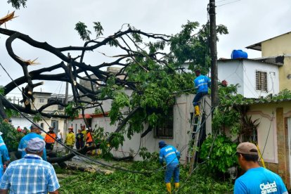 Vecinos y bomberos retiran un árbol de 20 metros que cayó sobre una vivienda en la décima segunda etapa de La Alborada, dejando a sus ocupantes atrapados y con pérdidas materiales.
