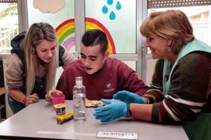 Existen varias normas que establecen la atención especializada y preferente para enfermedades raras