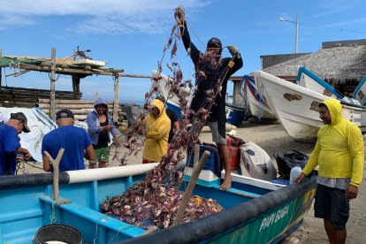 En caletas pesqueras como San Clemente, en el norte de Manabí, los pescadores muestran como quedan sus artes de pesca