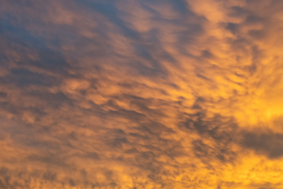 Conoce el clima en tu ciudad este día.