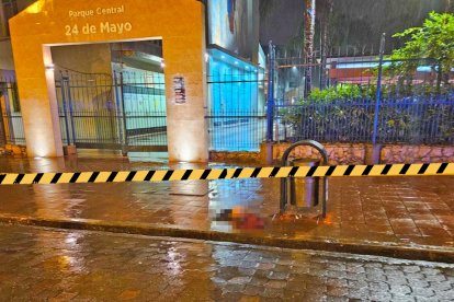 La cabeza fue abandonada en el parque. La familia de la víctima quiere recuperar la parte restante.