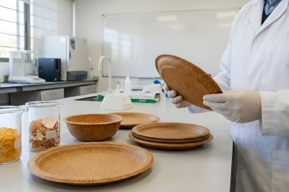 Investigadores desarrollan biomateriales a partir de residuos orgánicos de cocina.