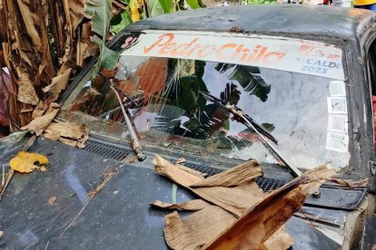 Madre e hijo se movilizaban en una camioneta cuando fueron atacados a tiros