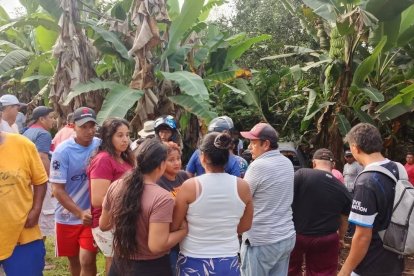 El automotor en que iban los parientes quedó entre una plantación de verdes.