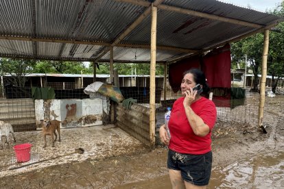 Mayra Santos, representante del albergue Callejeritos SOS, lamenta lo sucedido en el refugio de canes