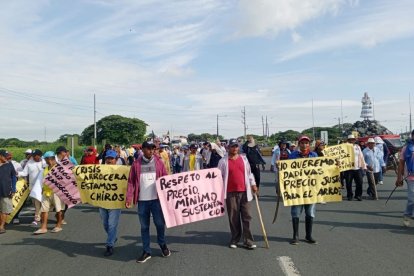 Agricultores exigen que se respete el precio mínimo de sustentación del arroz.