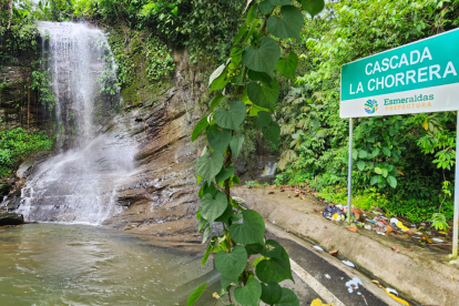 El sonido de la caída de agua se mezcla con el canto de las aves.
