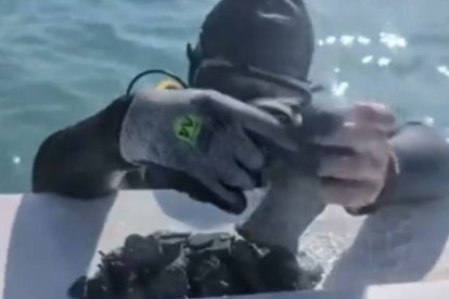Un equipo de buzos recuperó monedas históricas en Florida, con un valor cercano al millón de dólares tras siglos bajo el mar.