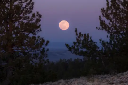 La Luna rosa podrá observarse desde ambos hemisferios del planeta