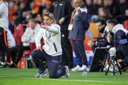 Sebastian Beccacece y sus gestos en el partido ante Países Bajos.