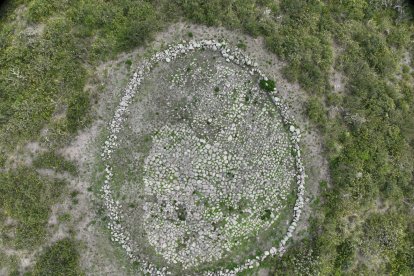 El hallazgo se concentra en Pomasqui, San Antonio de Pichincha y Calacalí.