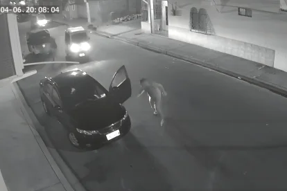 El acto de violencia quedó captado en una cámara de seguridad.