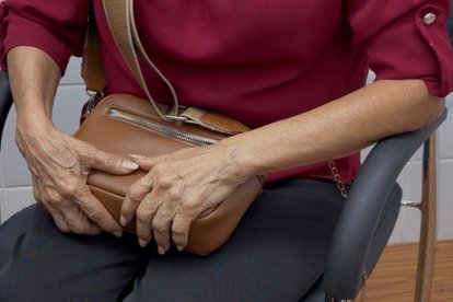 María busca apoyo para su hija adoptiva con discapacidad que fue víctima de violación y es madre de un adolescente.