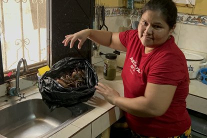 Los cangrejos que había comprado Norma también se dañaron.