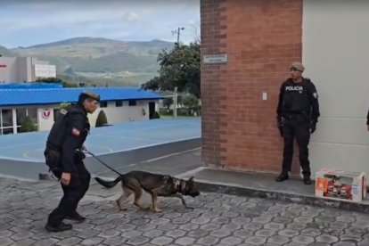 El perro amaestrado ha participado en varios operativos.
