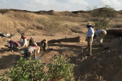 El equipo internacional analizó restos en Etiopía, una zona clave para entender la evolución humana.